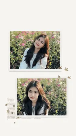 frame aesthetic