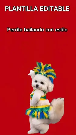 Perrito bailando