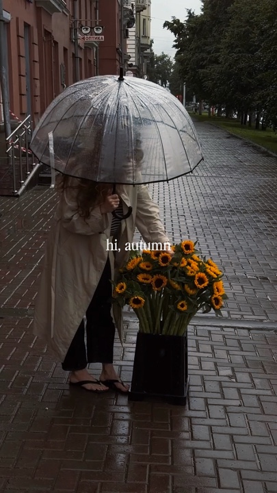 Hi, autumn 
