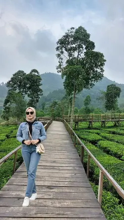 kebun teh asri