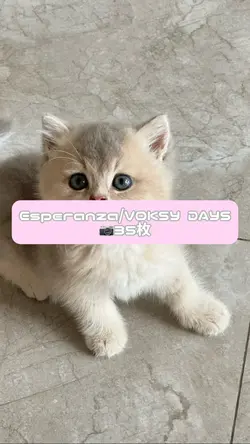 Esperanza/VOKSY DAYS