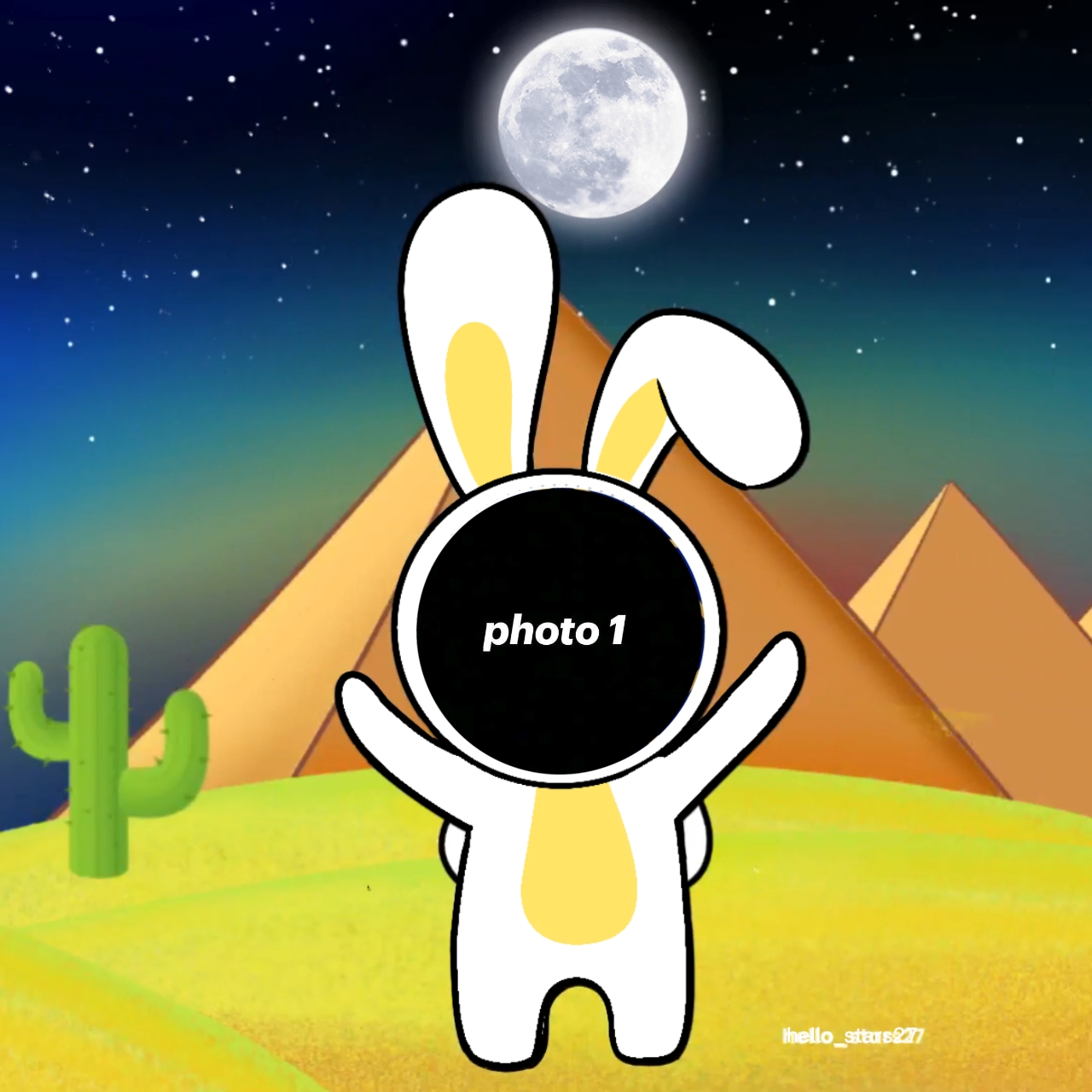 Cover Picture