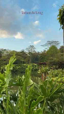 Taman