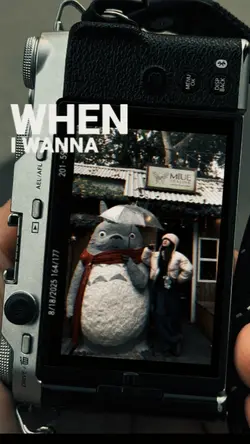 FRAME CAMERA