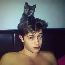 Nivel da Vida