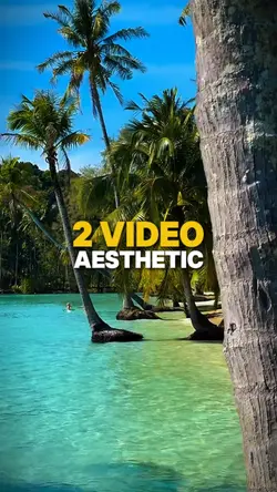 2 video Aesthetic