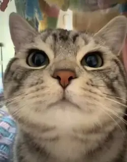 🥺💕