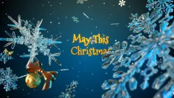 Merry Christmas ¹⁴