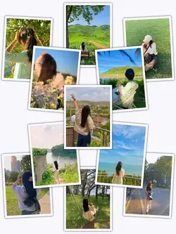 11PicFrame Aesthetic