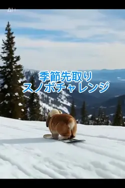 スノボチャレンジ