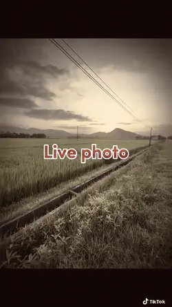Ảnh live pho to 
