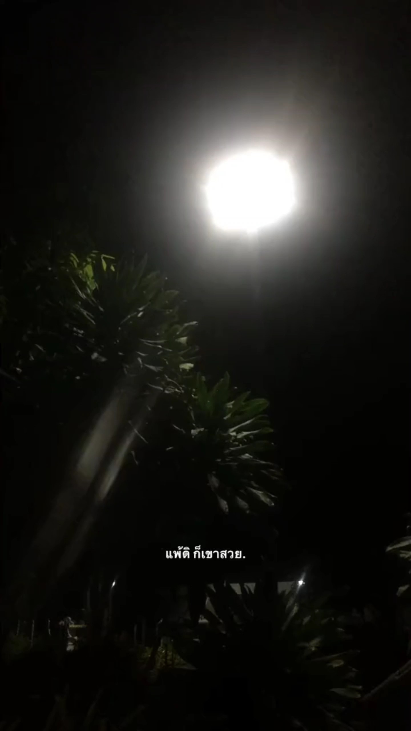 แจกครับ