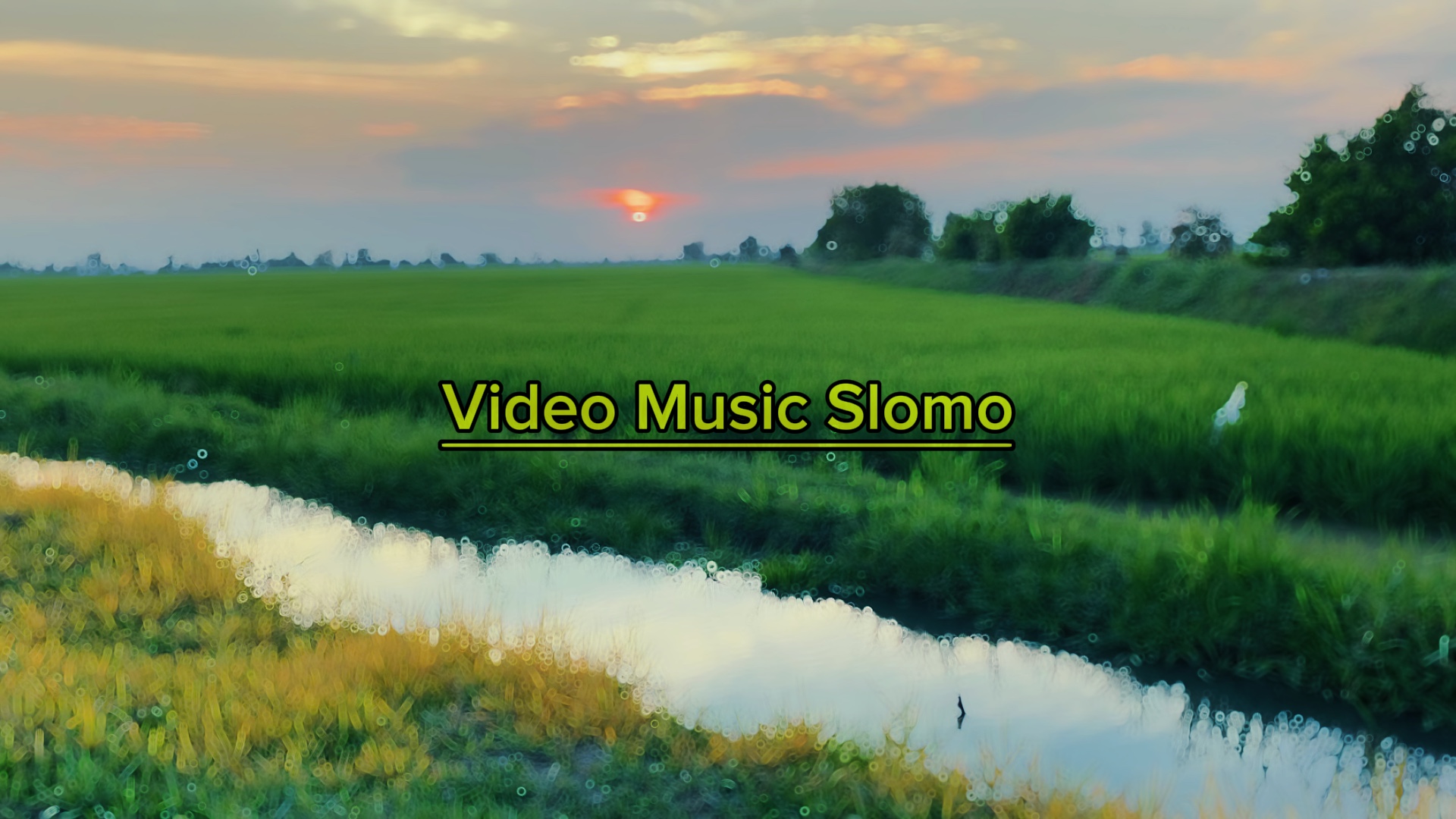 Tendencia Slowmo 16: 9
