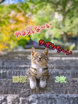 やる気が〜・・・