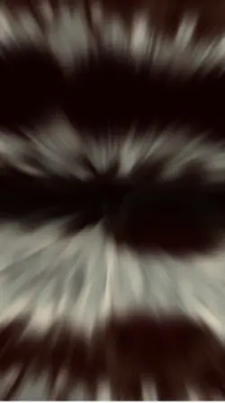 ab____id.1