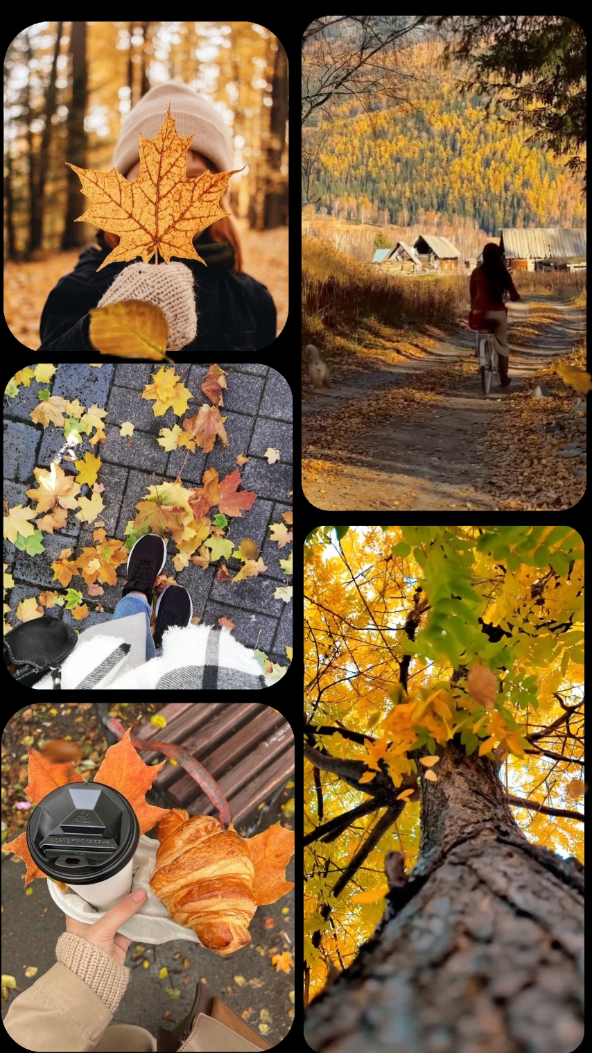 Fall collage