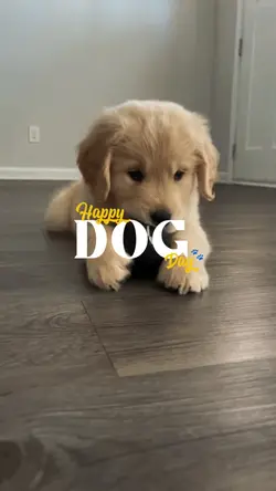 Happy Dog Day