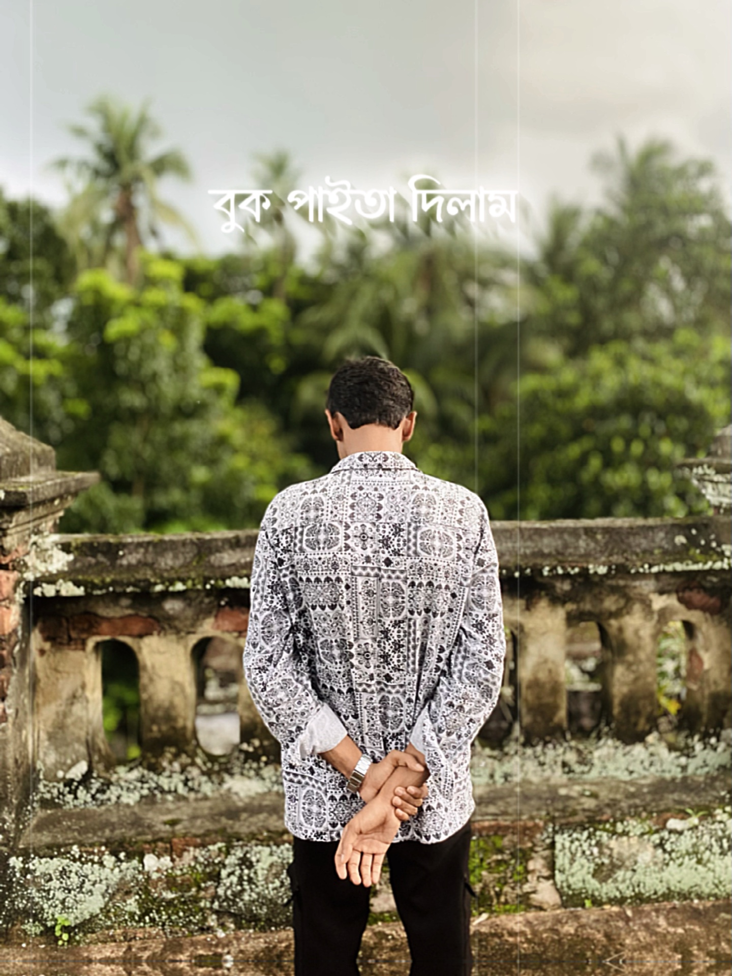 Cover Picture