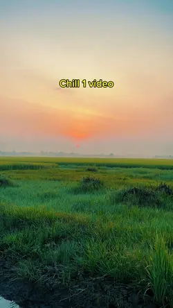 Chill 1 video