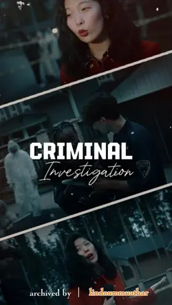 Crime Investigation