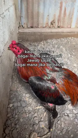 Bagaimana jika gagal