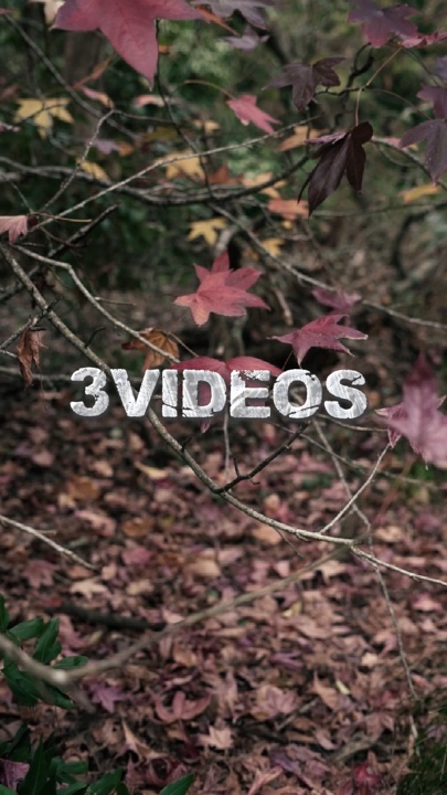 3videos cinematic 
