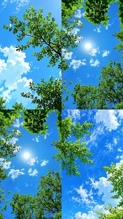 sky and clouds 