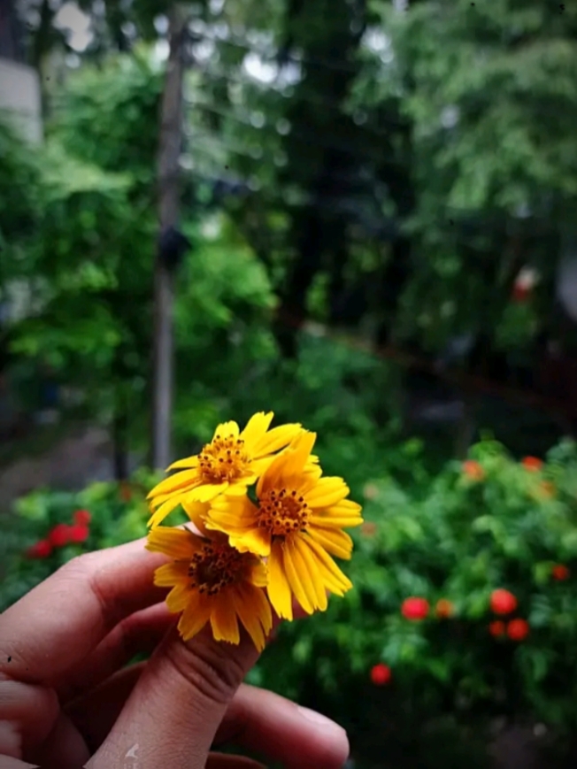 কখনো আফসোস করো না 