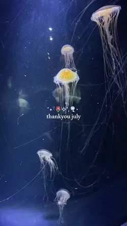 thakyou july