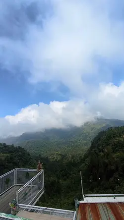 SET FIRE TO THE RAIN