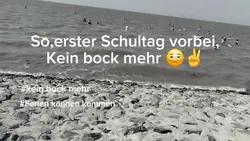 Schule