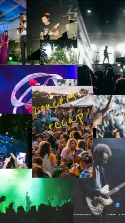 concert recap