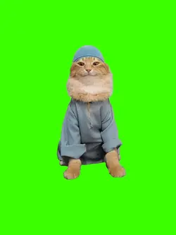kedullah cat ver3:4