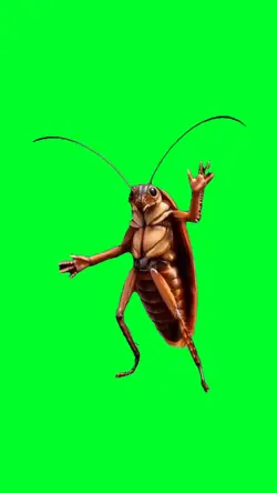Dancing cockroach