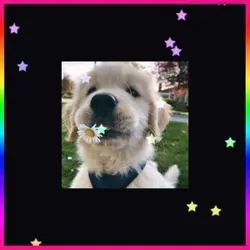 My little baby boy 🎀