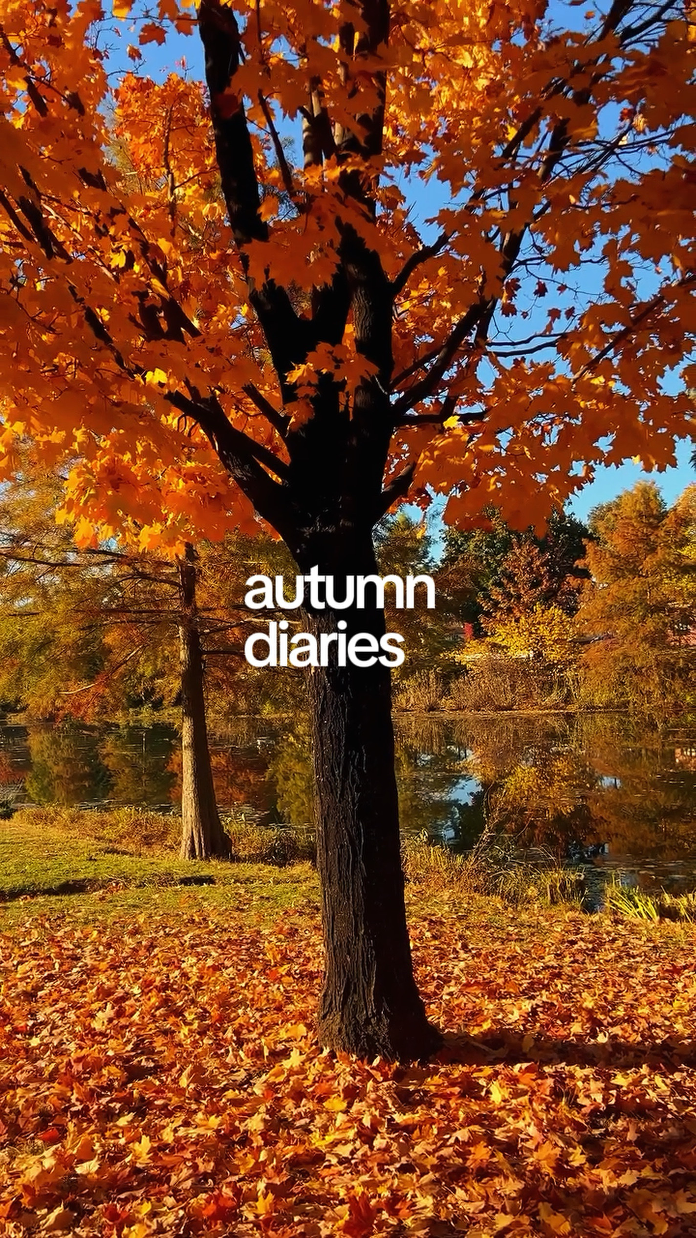 autumn diaries