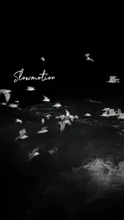 Slowmotion
