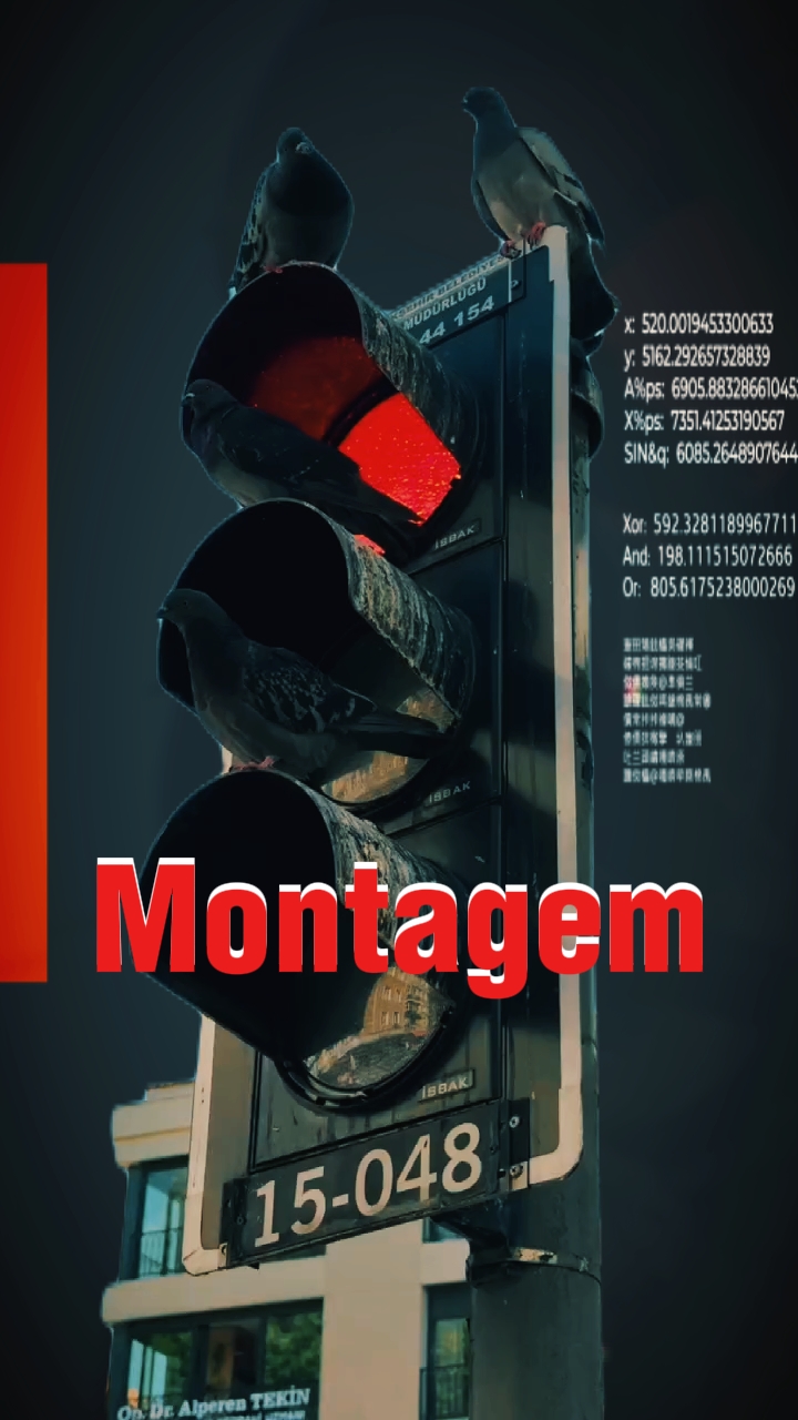 Montagem