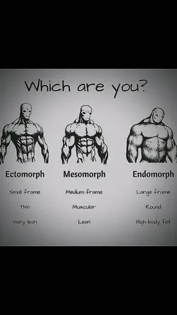 ECTOMORPH