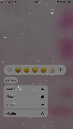 แชทแฟน