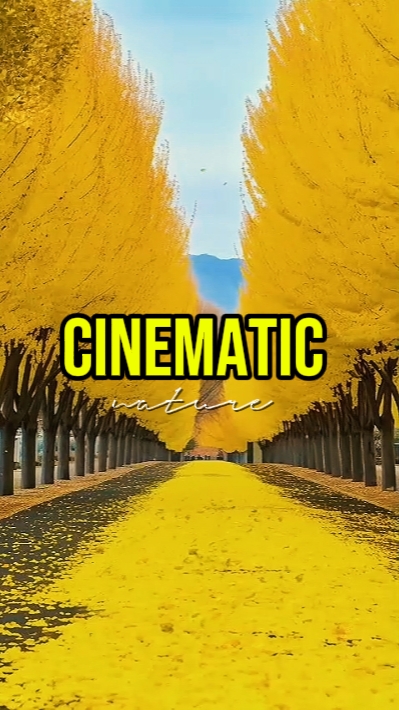 CINEMATIC NATURE 