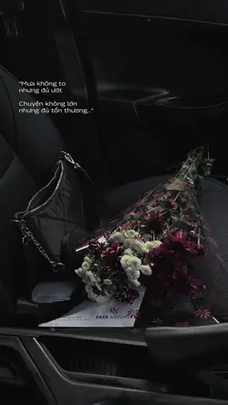 1 ảnh caption