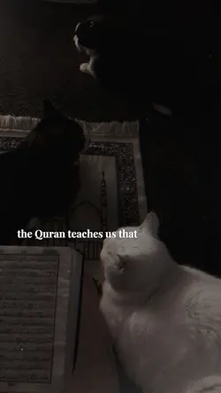 The Quran