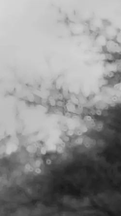 heart attack by mine