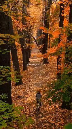 autumn story