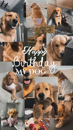 Birthday My Dog