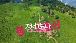 초록세상 정선 민둥산