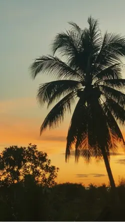 Song+video