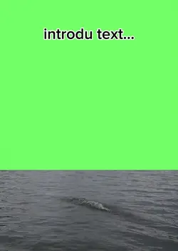 "titanic"...