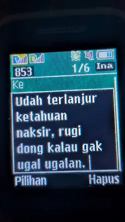 udah terlanjur 